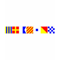 Code Flag Grayson Tee Shirt