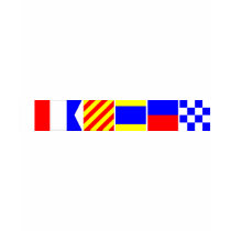 Code Flag Hayden Tees