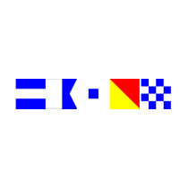 Code Flag Jason Tshirts