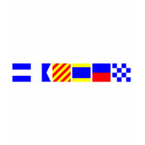 Code Flag Jayden Tshirts