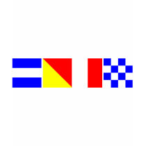 Code Flag John Tee Shirt