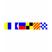 Code Flag Kaelyn T-shirt
