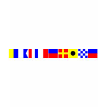 Code Flag Katherine Tshirt