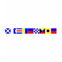 Code Flag Mackenzie Tshirts