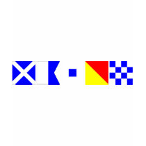 Code Flag Mason T-shirt
