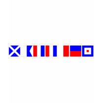 Code Flag Matthew T Shirts