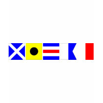 Code Flag Micah Tshirts