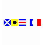 Code Flag Micah T Shirts