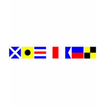 Code Flag Michael T-shirts