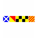 Code Flag Molly Tee Shirts