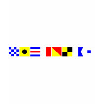 Code Flag Nicholas T-shirt