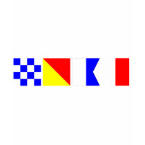 Code Flag Noah Tshirt