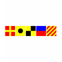 Code Flag Riley Tshirt