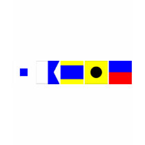 Code Flag Sadie T Shirts