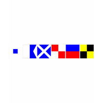 Code Flag Samuel T Shirts