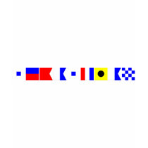 Code Flag Sebastian t-shirts
