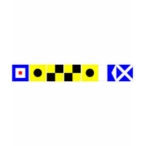 Code Flag William Tee Shirts