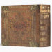 Back/Spine