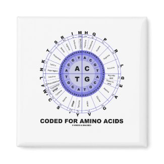 Coded For Amino Acids (Genetic Code DNA) magnet