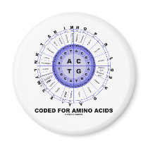 Coded For Amino Acids (Genetic Code DNA) Fridge Magnet