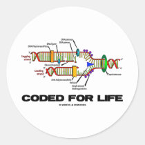 Coded For Life (DNA Replication) Round Stickers