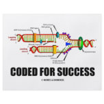 Coded For Success (DNA Replication) flyers