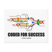 Coded For Success (DNA Replication) Postcard