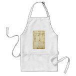 Codex Atlanticus aprons