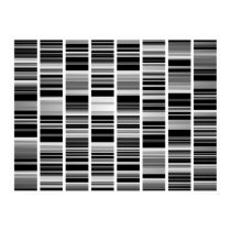 Codex posters