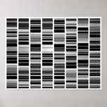 Codex posters