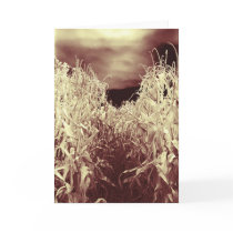 Codgers in the Corn cards by Merritt_B Codgers in the Corn cards