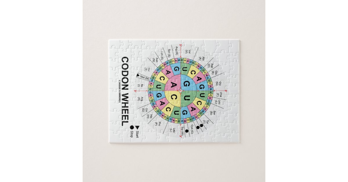 Codon Wheel (RNA Codons Amino Acids) Jigsaw Puzzle | Zazzle