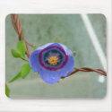Codonopsis mousepads by CHOLOEPUS Codonopsis mousepads