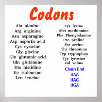 Codons Poster