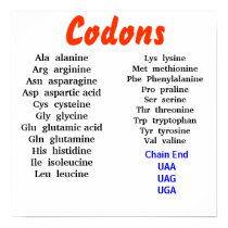 Codons posters by thejosh Codons posters