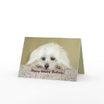'Cody'  Greeting card Happy belated Birthday!