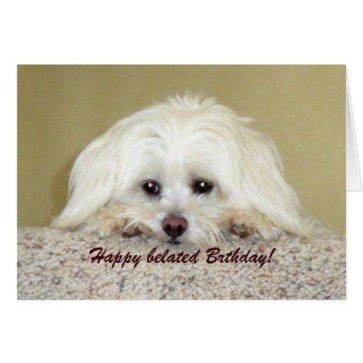 'Cody'  Greeting card Happy belated Birthday!