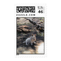 Cody postage by sdishongh Cody postage
