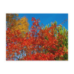 Coexisting Post Card