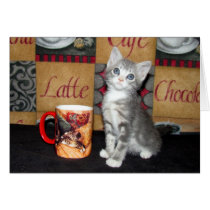 Coffe, Tea, or Meow cards