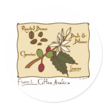 Coffea Arabica stickers