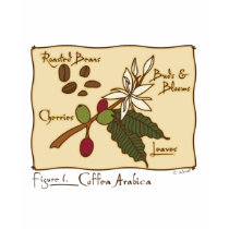 Coffea Arabica t-shirts by MendiSue Coffea Arabica t-shirts