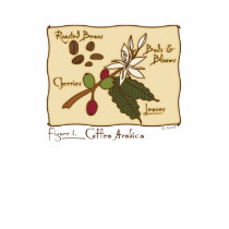 Coffea Arabica t-shirts by MendiSue Coffea Arabica t-shirts