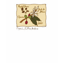 Coffea Arabica t-shirts by MendiSue Coffea Arabica t-shirts