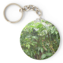 Coffea Canephora Keychains
