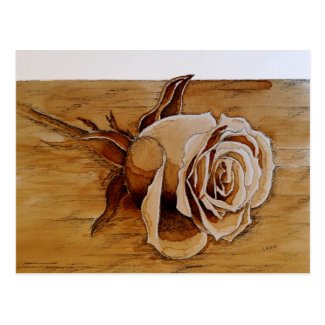 Coffee and Ink Rose Art Postcard