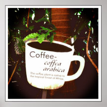 Coffee Arabica poster