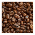 Coffee Bean Poster posters by liliana_lupin Coffee Bean Poster posters