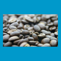 Coffee Bean Poster posters