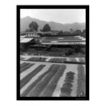 buildings, cityscapes, photo, photograph,